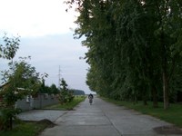 20101003-0003.jpg