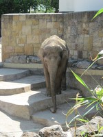 20120502-001.JPG