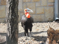 20120502-003.JPG