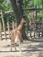 20120502-005.JPG