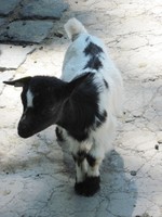 20120502-007.JPG