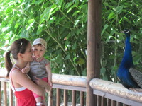 20120502-008.JPG